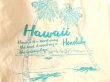 画像3: ハワイアンビーチバルーントートバッグ (3)