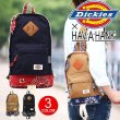 画像1: 【sale】ディッキーズdickiesバンダナ柄ボディバッグ（３色有） (1)