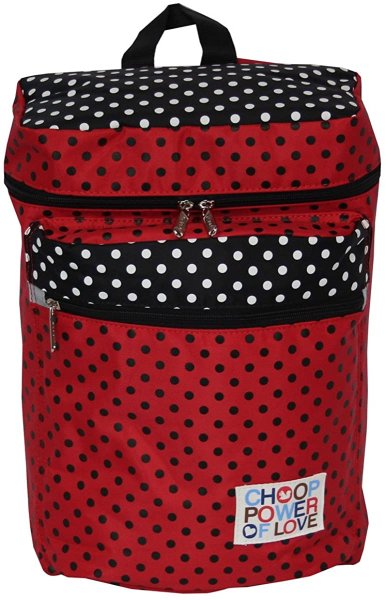 画像4: ＜値下げ＞女の子に人気シュープCHOOPスクエア型ドット柄リュックサック（4色有） (4)