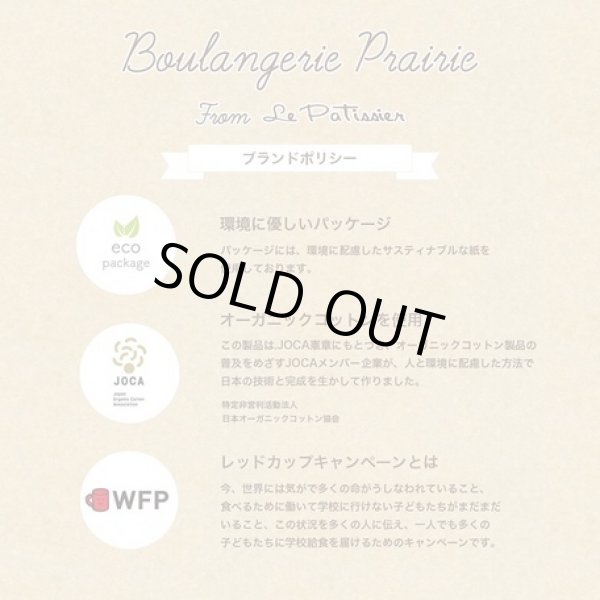 画像4: 今治（パンダ）ハンカチオーガニックコットン＜日本製＞ (4)