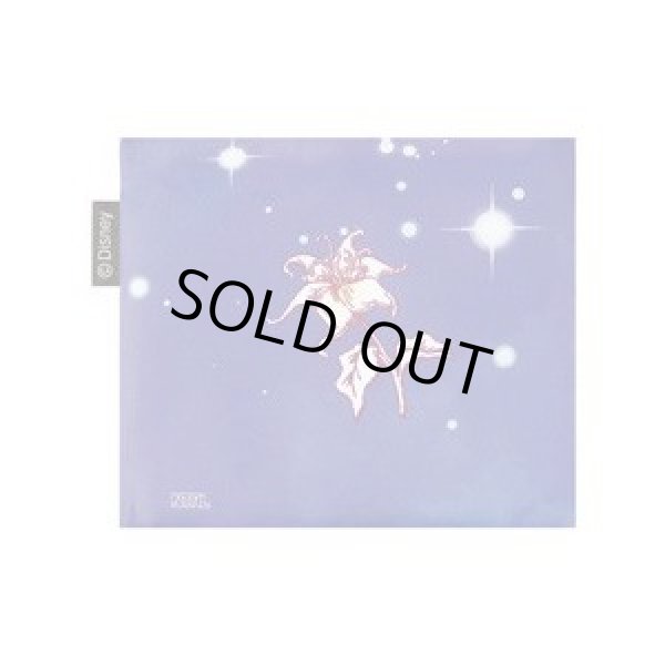 画像3: ディズニー＜ラプンツェル＞レディース折り畳みショッピングエコバッグ／空に願いを (3)