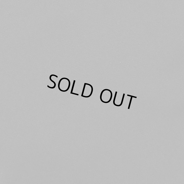 画像4: サボイ(SAVOY)レディースシンプルデザインナイロン素材ウエストバッグ＜店長おすすめ！＞ (4)