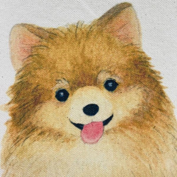 画像3: ポメラニアン☆パステル調やさしい色合いの帆布トートバッグ (3)