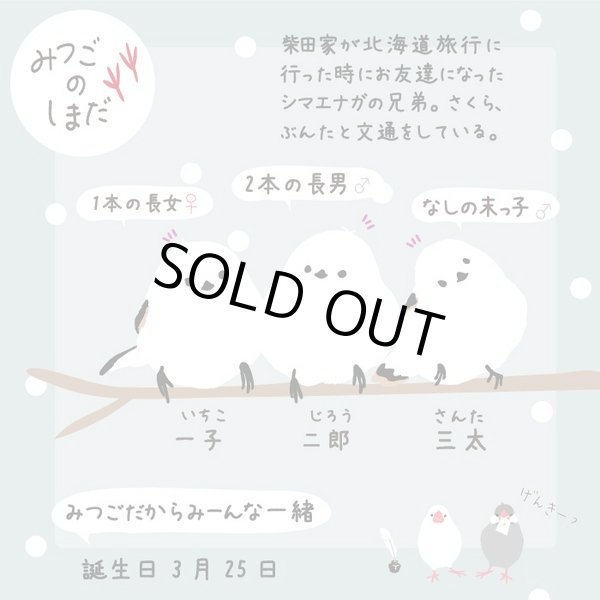 画像8: シマエナガ・ラージしまだトートバッグ軽くて大容量/ブルー (8)