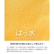 画像5: はっ水機能付き軽量１０ポケットレディース多機能リュック  （４色有） (5)