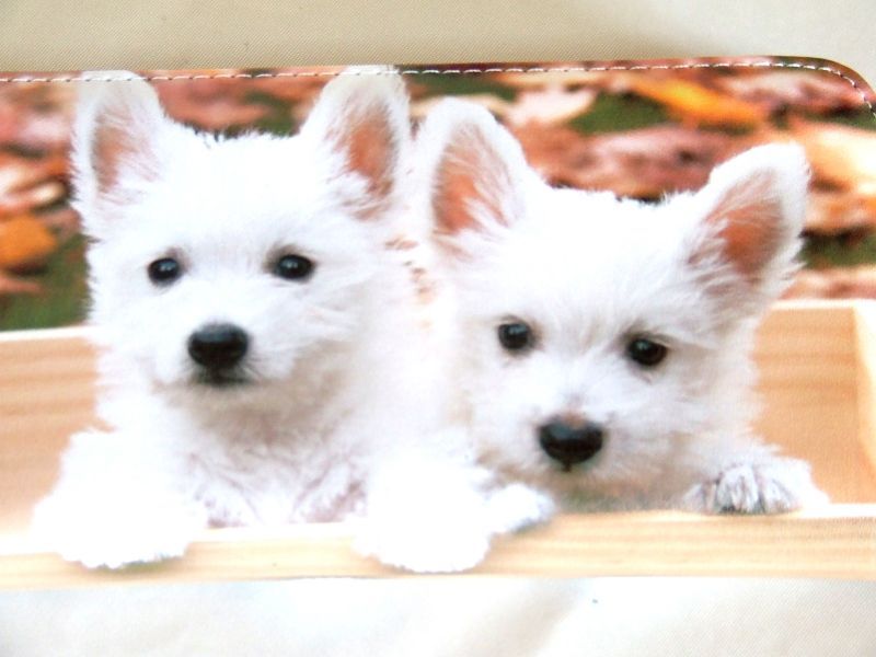 【新入荷】小犬転写ラウンドタイプ長財布