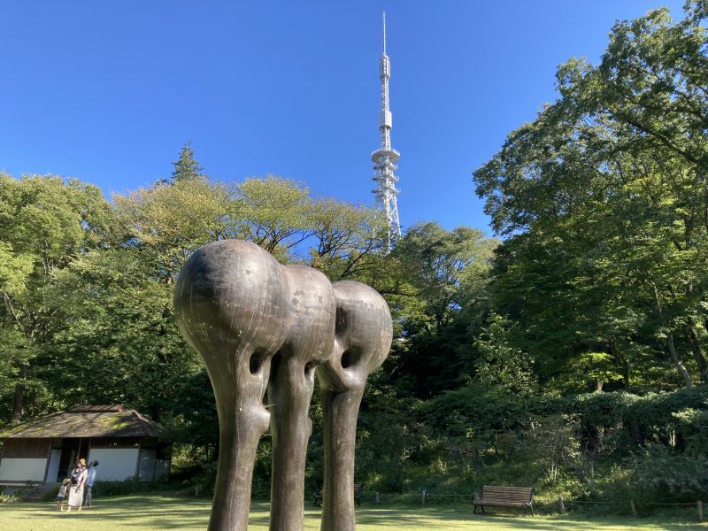 （地元紹介）仙台市野草園